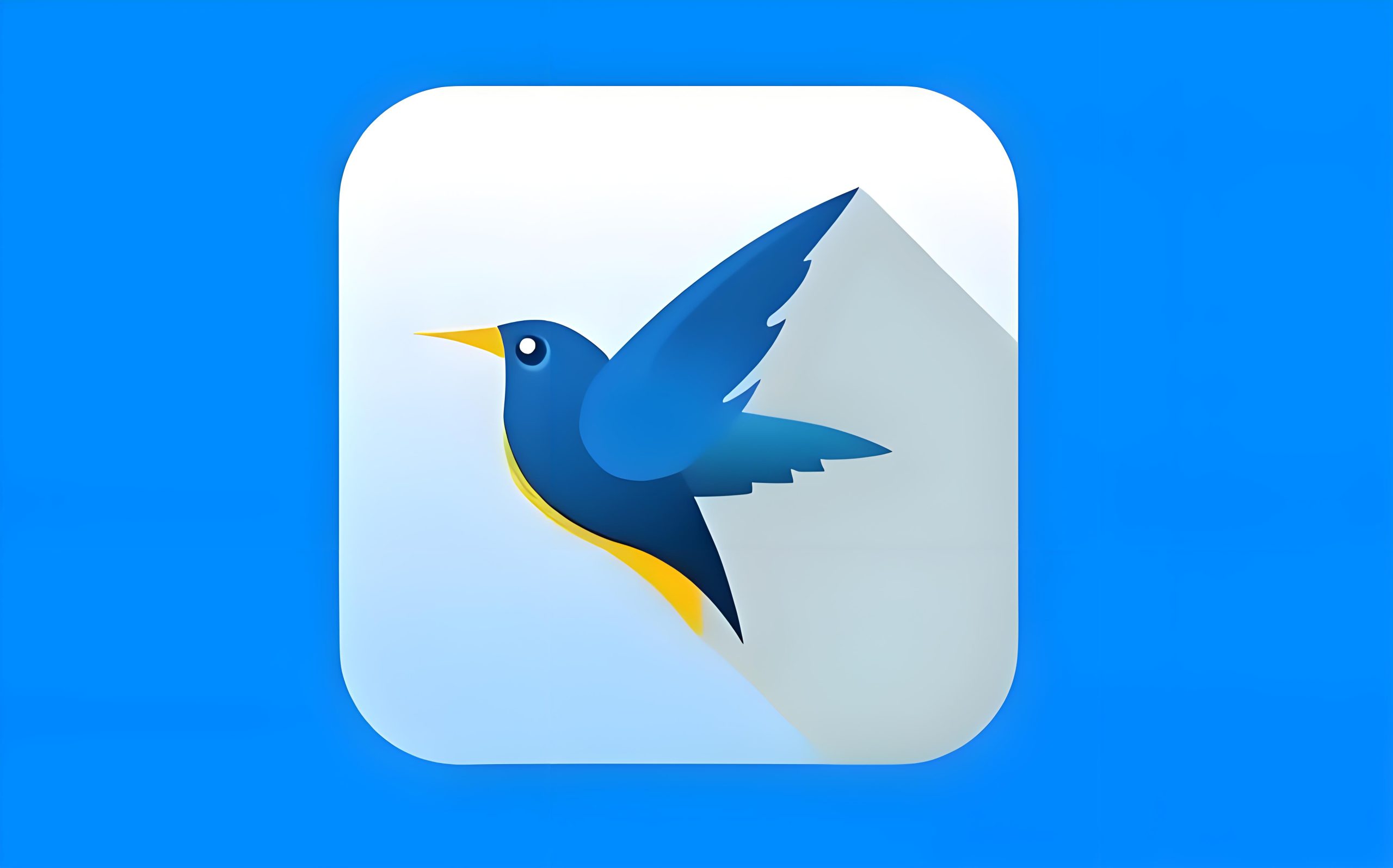 شۈنلېي تىز چۈشۈرگۈچ (ئالاھىدە نوسقا)